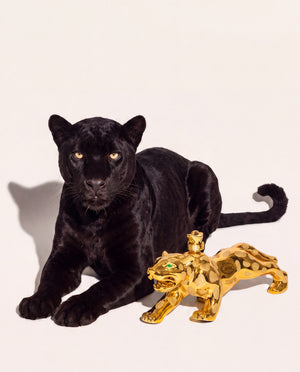 Jaguar Gold Tequila Anejo 1.75L